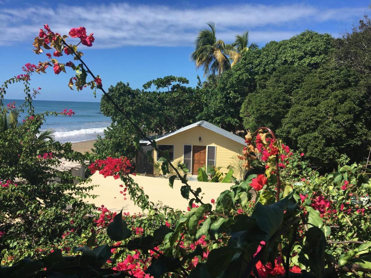 Katamah Beachfront Guesthouse Трежър Бийч Екстериор снимка